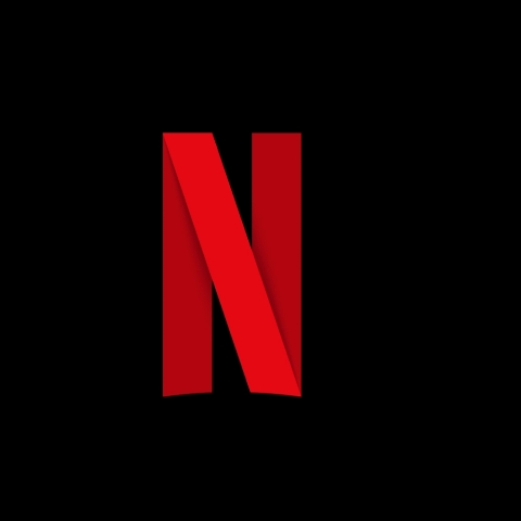 netflix accont for 3 months Logo